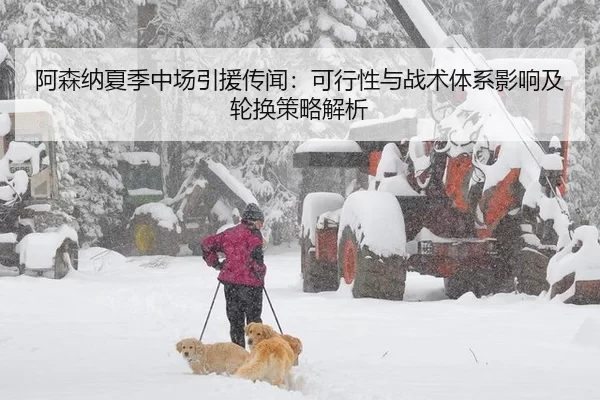 阿森纳夏季中场引援传闻：可行性与战术体系影响及轮换策略解析
